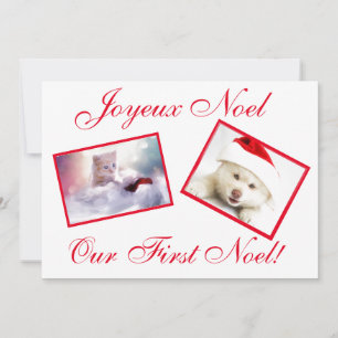 Joyeux Noel Best Friends Pets First Noel Card