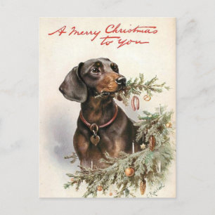 Joyeux Noël chien Teckel Postcard