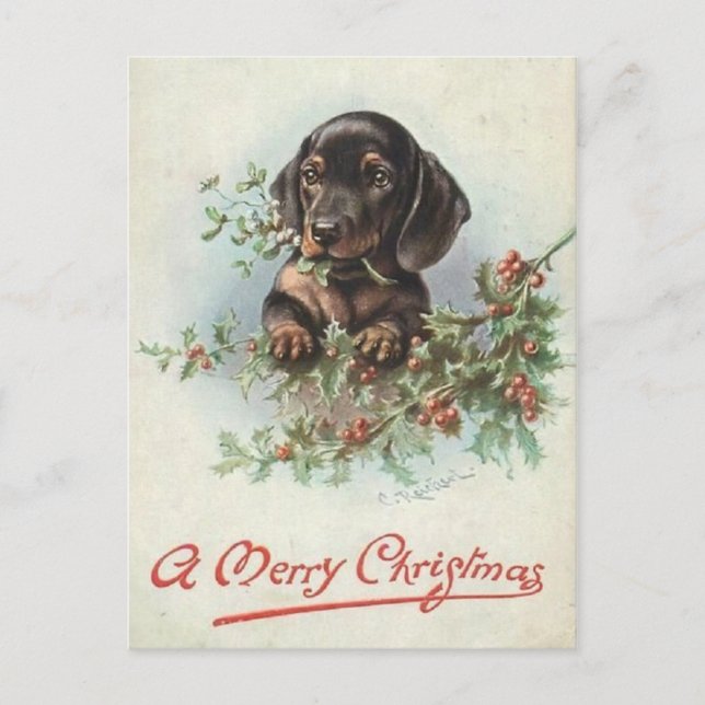 Joyeux Noël chien Teckel Postcard (Front)