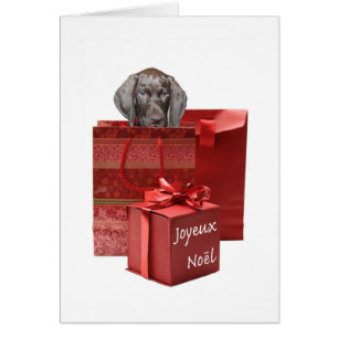 Joyeux Noël  german shorthaired pointer puppy
