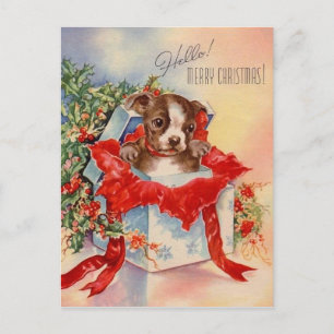 Joyeux Noël petit chien cadeau Postcard