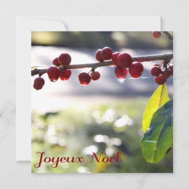 Joyeux Noel Square Card (Front)