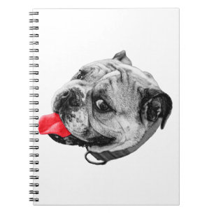 Joyful Accent Notes Notebook