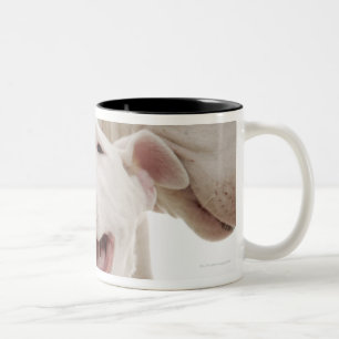 Joyful Bull terriers Two-Tone Coffee Mug