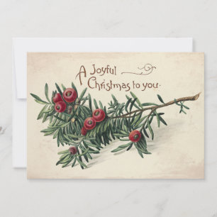 Joyful Christmas Vintage Evergreen Red Berries  Holiday Card