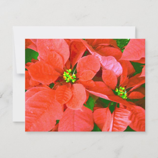 Joyful Holidays_ Holiday Card (Front)