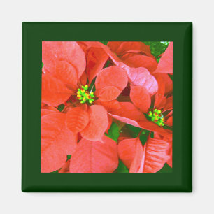 Joyful Holidays_ Magnet