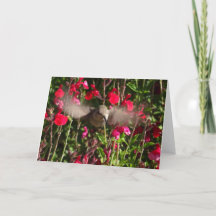 Joyful Hummingbird Greeting Card