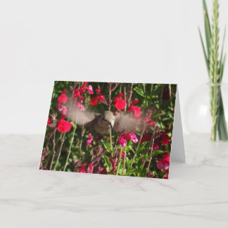 Joyful Hummingbird Greeting Card