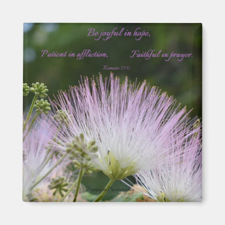 Joyful in Hope  Magnet