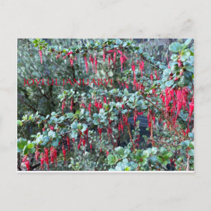 JOYFUL JANUARY! POSTCARD