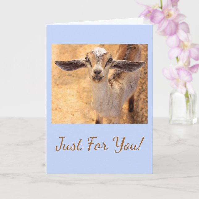 Joyful Little Goat Birthday Card (Orchid)