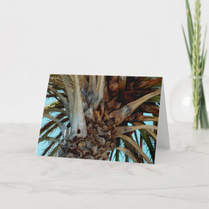 "Joyful Palm" Close up, top of tree with blue sky Card