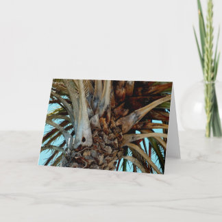 "Joyful Palm" Close up, top of tree with blue sky Card