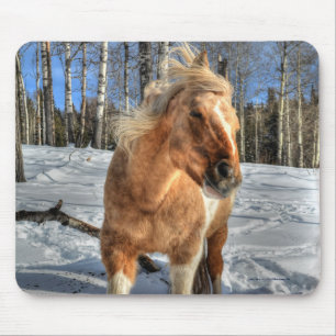 Joyful Palomino Pinto Horse and Snow Mouse Pad