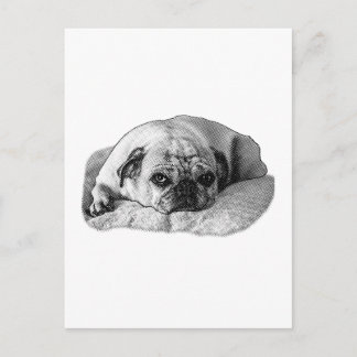 Joyful Pause, Bright Moments Postcard