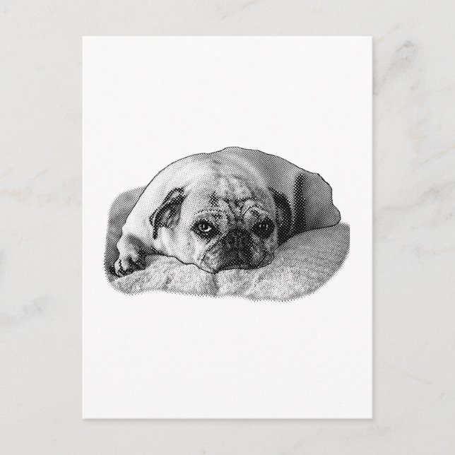 Joyful Pause, Bright Moments Postcard (Front)