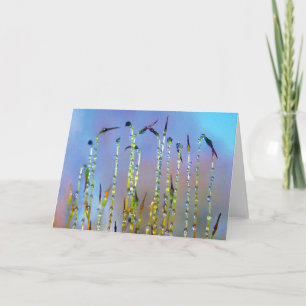 Joyful, Serene, Stories in Nature Dew Drop Card