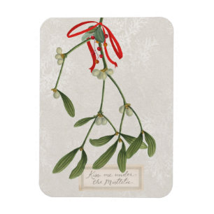 Joyful Tidings Kiss Me Under The Mistletoe Magnet