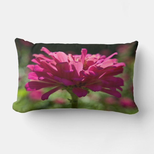 Joyful Zinnia Lumbar Cushion (Front)