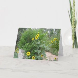 Joyous Day Congratulations Card