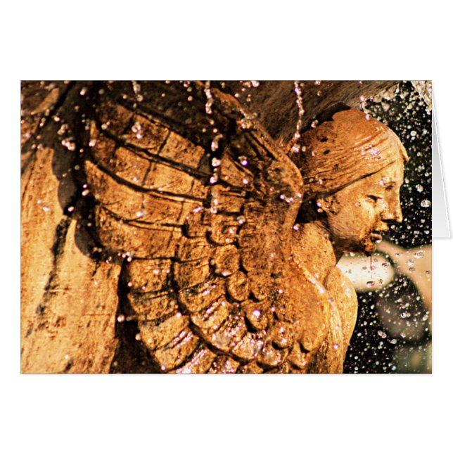 Joyous Tears (Front Horizontal)