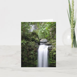 Juan Diego Falls Thank You Card