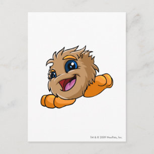 JubJub Brown Postcard