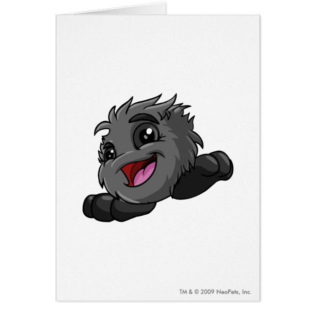 JubJub Shadow (Front)