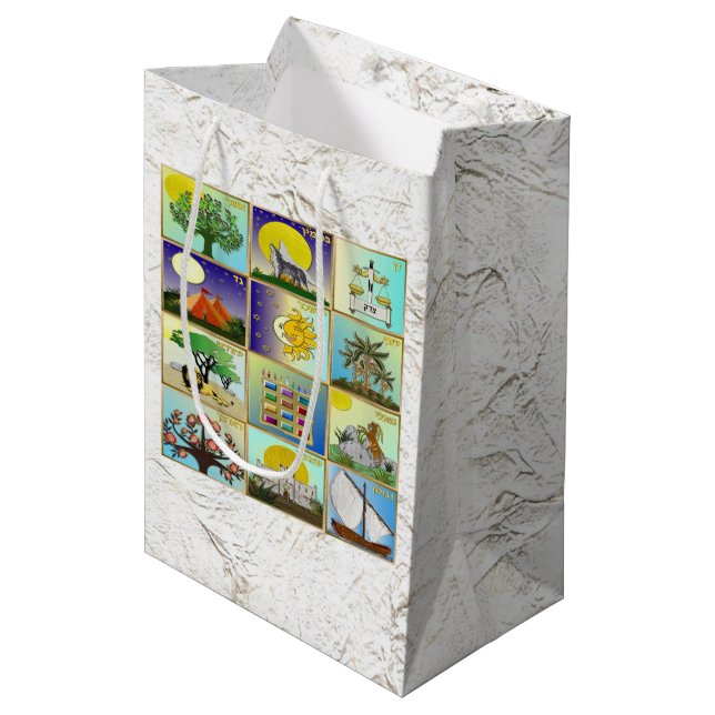 Judaica 12 Tribes Of Israel Art Panels Gift Bag (Front Angled)