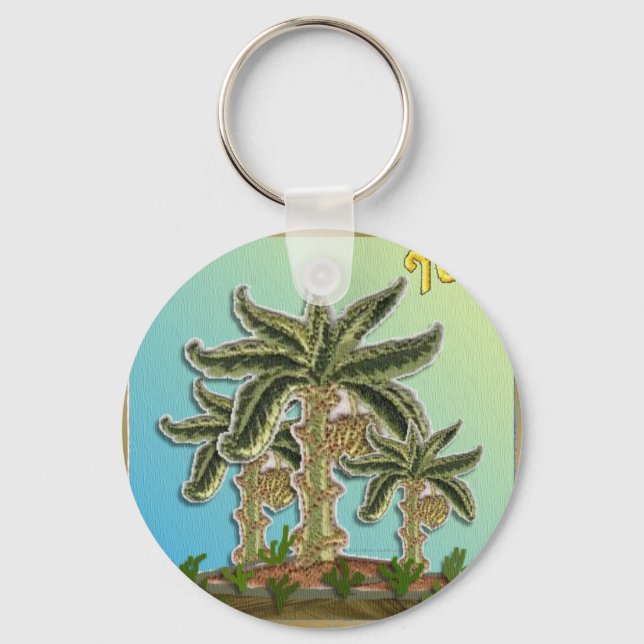 Judaica 12 Tribes Of Israel Joseph Key Ring (Front)