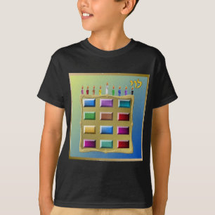 Judaica 12 Tribes Of Israel Levi T-Shirt
