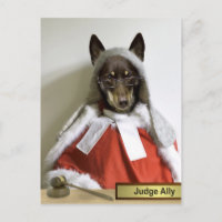 Judge Ally