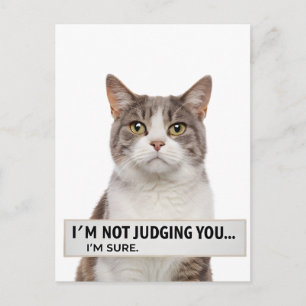 Judging Cat Sarcastic Quote Minimal Art Postcard