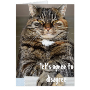 Judgmental Angry Cat Funny Agree to Disagree