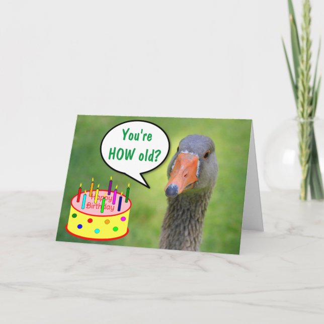 Judgmental Goose Funny Birthday Card (Front)