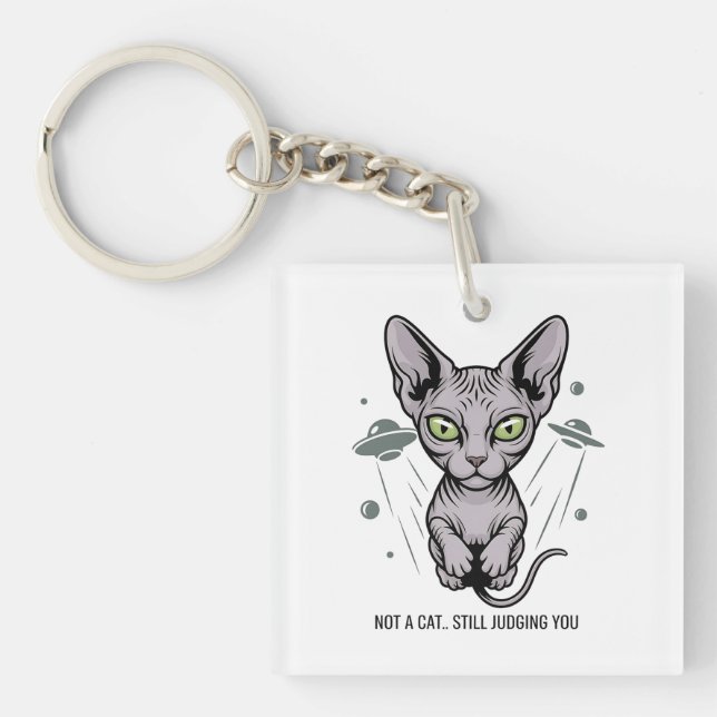 Judgmental Sphynx Cat in Space Art Key Ring (Front)