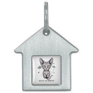 Judgmental Sphynx Cat in Space Art Pet ID Tag