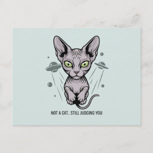 Judgmental Sphynx Cat in Space Art Postcard