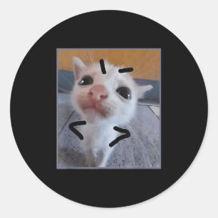 Judgy Kitty Funny Cat Lover Angry Kitten Meme Cute Classic Round Sticker
