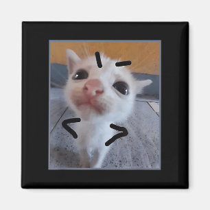 Judgy Kitty Funny Cat Lover Angry Kitten Meme Cute Magnet