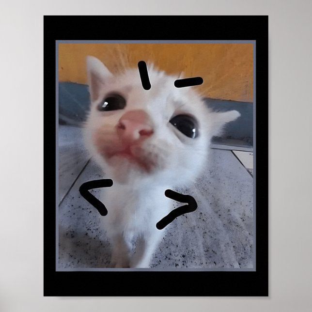 Judgy Kitty Funny Cat Lover Angry Kitten Meme Cute Poster (Front)