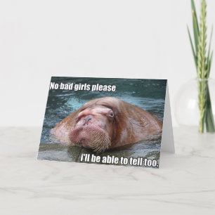 Judgy Walrus greeting card