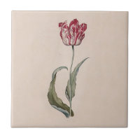 Judith Leyster Tulip Tile