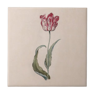 Judith Leyster Tulip Tile