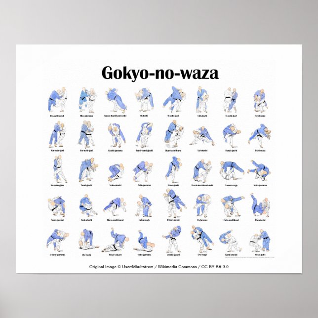 Judo throws poster (Front)