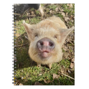 Juggling Daisies Mona Notebook