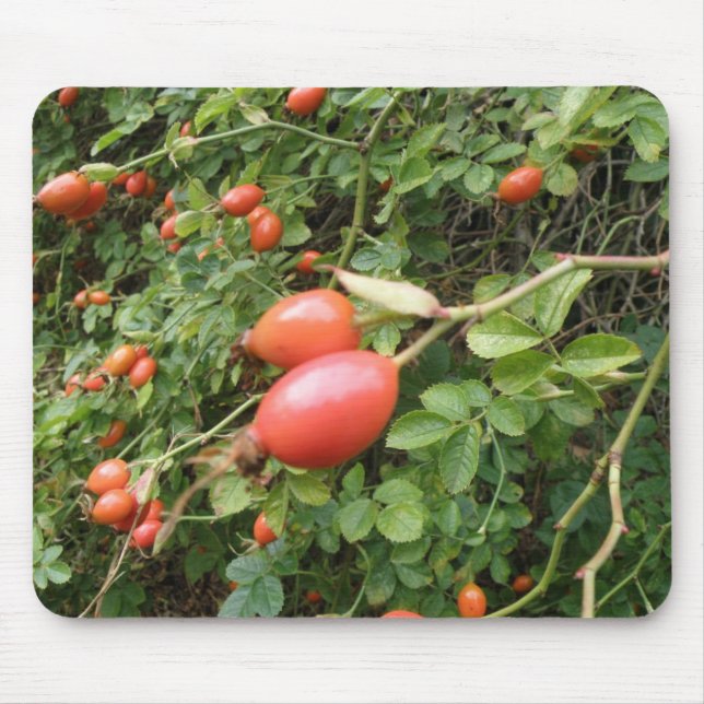 Juicy Red Rose Hips Mousepad (Front)