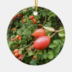 Juicy Red Rose Hips Ornaments