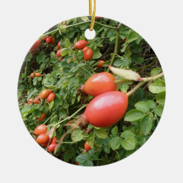 Juicy Red Rose Hips Ornaments (Front)